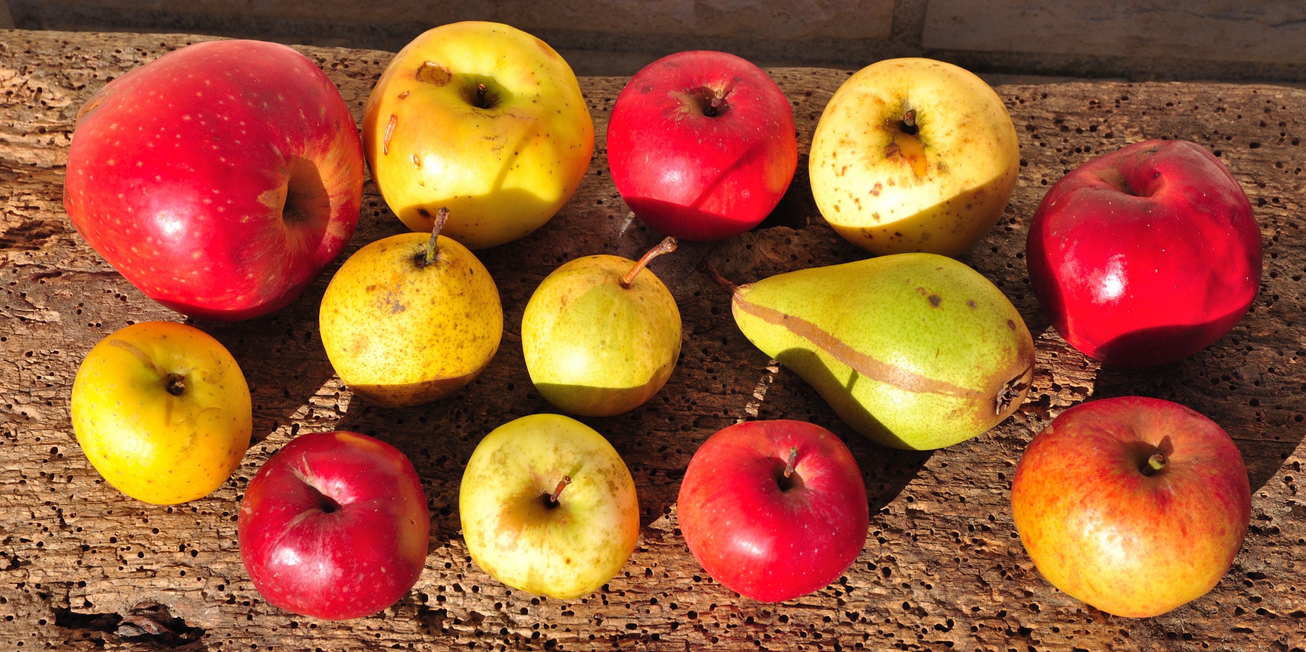 Schwäbische Obstarche - Werdegang, Philosophie und Ziele