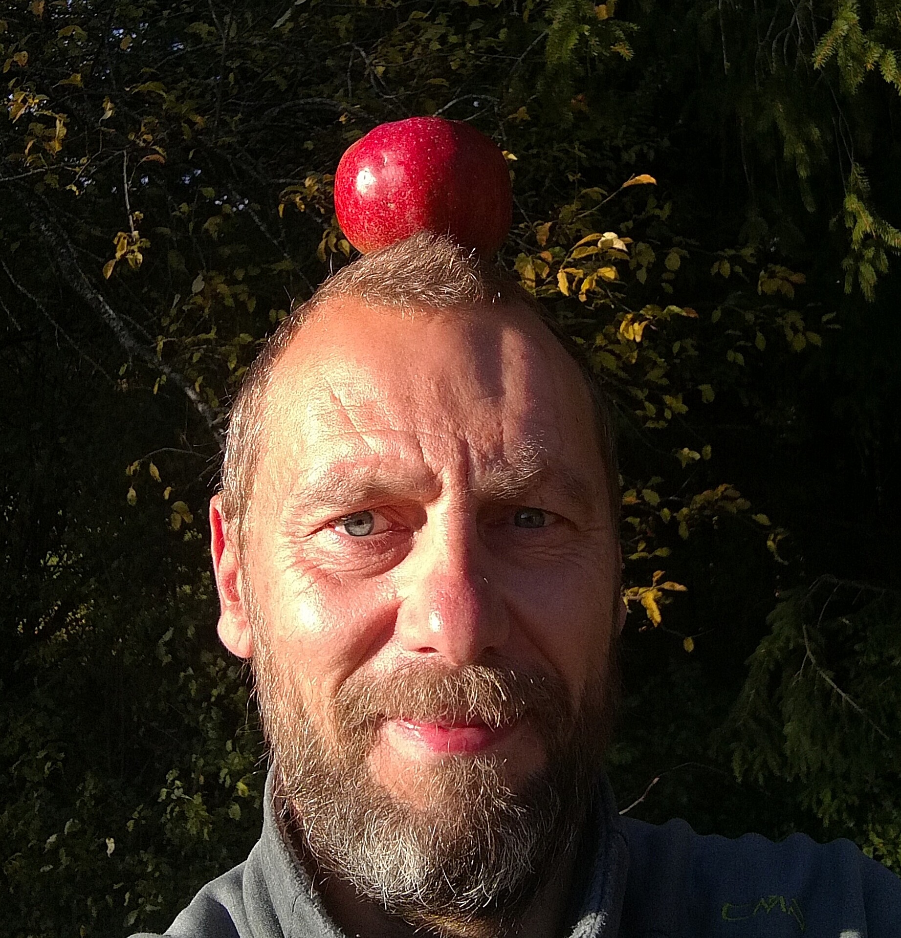 Schwäbische Obstarche - Jürgen Böhringer